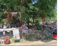 केवल इस पेड़ के परिक्रमा मात्र से ठीक हो रही लाइलाज बीमारियां