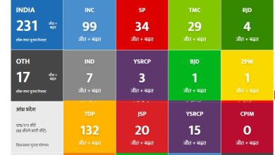 Lok Sabha Election Result 2024