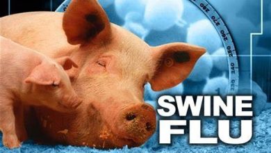 swine flu